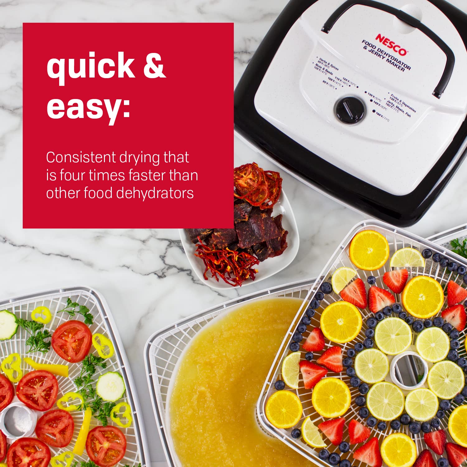 Nesco Fd 80A Square Shaped Food Dehydrator, For Snacks, Fruit, Beef Jerky, White
